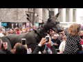 Overview of the year-long celebrations in Montréal with with Isabelle Pelletier
