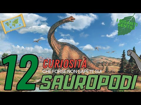 Video: Da dove viene il nome sauropode?