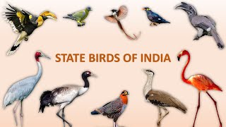 State Birds of India 🐦 🇮🇳 | Birds | Indian Birds
