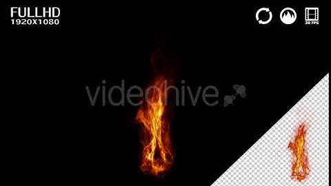 Fire Loop | Motion Graphics - Envato elements