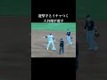 塁審「暴力行為で退場だ」、大谷選手「あっちが先にやってきたんです」、塁審「今回だけ特別だぞ、やれやれ」
