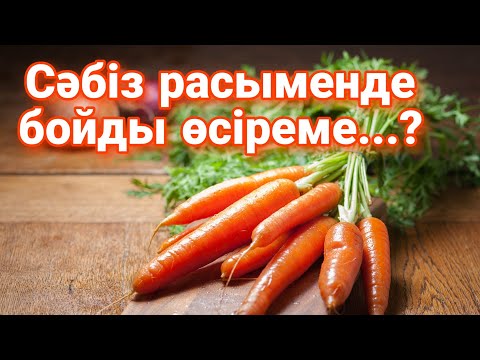 Бейне: Контейнерлерде салат өсіруге арналған кеңестер