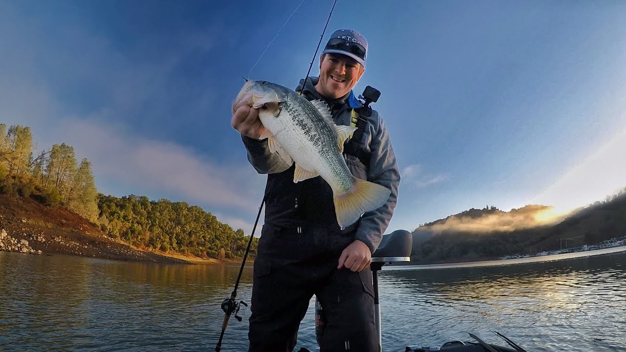 Sinking a Staysee for Winter Bass - Major League Fishing