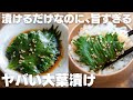 【5分で作れる】切らずにそのまま漬けるだけ。大葉の漬けが最高に旨すぎて米が止まらない。やばい。【醤油漬け】