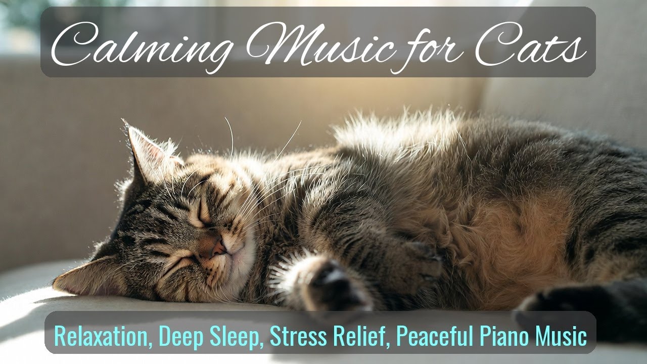 Calming Music for Cats - Relaxation, Deep Sleep, Stress Relief, Peaceful Piano Music | Season 67