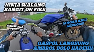 GASPOOLL GASRUKK NINJA WALANG SANGIT‼️GASPOL LANGSUNG AMBROL BOLO‼️GETER SAMPEK TELUR‼️CJDWGANK LOSS