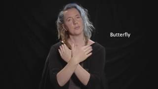 Learn Auslan - Animals