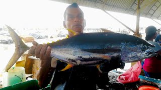 Cutting Tuna Fish | Fresh Sea Food Sri Lanka