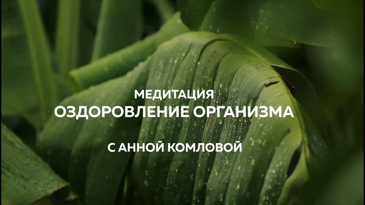 ️ МЕДИТАЦИЯ "ОЗДОРОВЛЕНИЕ ОРГАНИЗМА" ️ Анна Комлова - YouTube