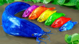 Stop Motion ASMR - Colorful Koi Fish Hunting Catfish - Original Cooking Satisfaction Experiment