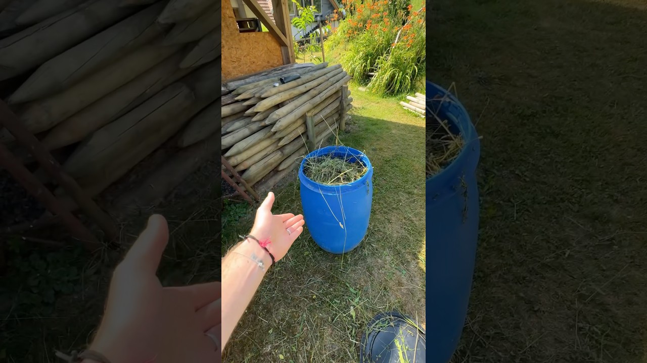Silage Futter easy selber machen?🥵🌾 