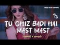Tu Chiz Badi Hai Mast Mast 💫🖤 | Slowed x Reverb | Lo-Fi Vibes | Feel The Beat ✨❤️ | MISS RIYA GAMING