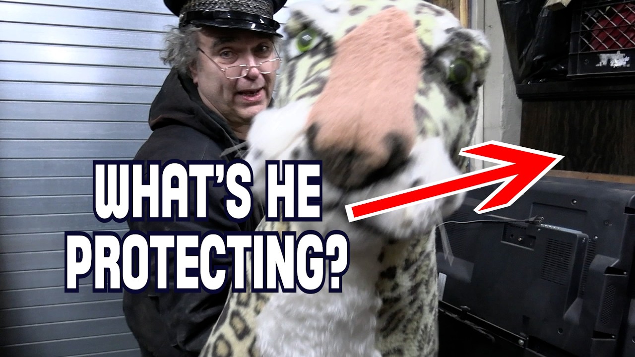 Мои ДВА Никелодеона!!!