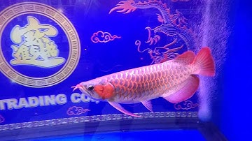 Keak ปทุมวัน - ปรุงโฉม + Overflow 84 30 36 กรองข้าง Set 4