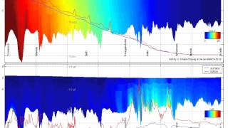 Delft3D simulation of the salinity and SPM in the Western Scheldt