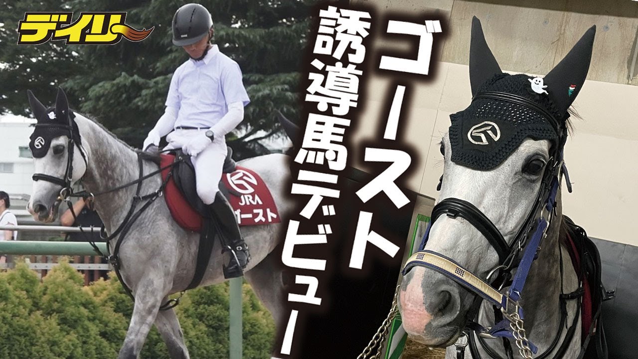 【ゴースト】中山競馬場で誘導馬デビュー！おばけワッペンつけて初出勤　引退から約３カ月半のスピードデビューも優秀な仕事ぶり