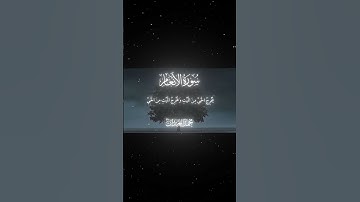 سورة الأنعام|95|القارئ:#محمد_اللحيدان #قران #quran #راحة_نفسية#قران_كريم#تلاوة_هادئة#آية#تلاوة_خاشعة