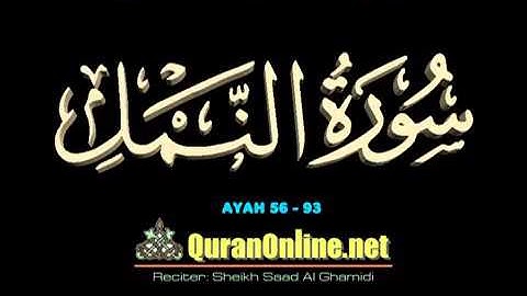 الشيخ سعد الغامدي سورة النمل الآية 56 93 مع الكتابة