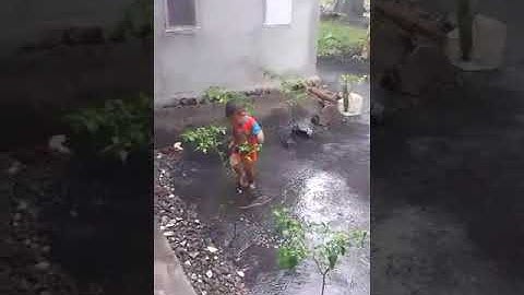 Fajar Mandi air hujan