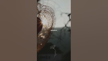 Embrace the Journey: Every Step Counts Towards Growth and Purpose