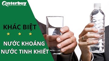 Nước khoáng và nước tinh khiết có điểm gì khác nhau?