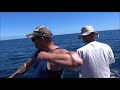 Longline Fishing off the Manawatu Heads