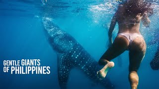 WHALE SHARKS OSLOB During Covid Pandemic - Cebu Philippines (2020 Exclusive)