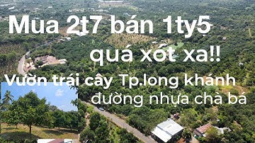 (Đã bán) mãnh vườn trái cây đường nhựa bình lộc Tp.Long khánh Vì nợ nần chị chủ bán lổ.