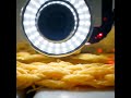 How Papaya Trees Are Turned Into Ultra-Soft Fabric in High-Tech Factoriesb