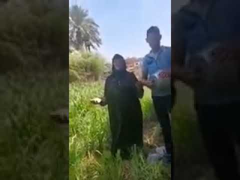 الحجه نبيله البميه شوكتني انا شرقويه يا ولا