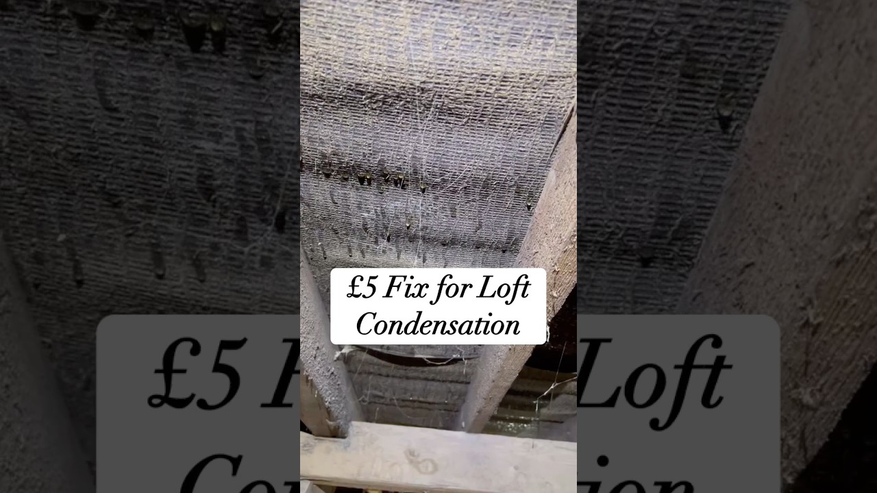 How To Fix Condensation In Your Loft