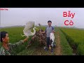 Hành Trình Theo Chân Thợ Bẫy Cò P2- Bẫy cò trên cánh đồng/Amazing Trapping storks top On the Filed