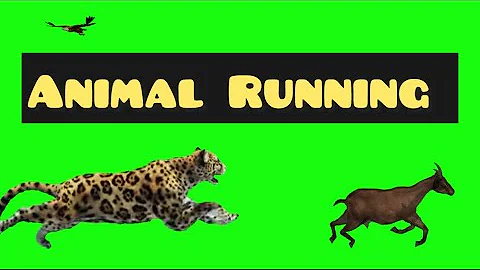 Green screen animals running video #greenscreen #animals #stampede 