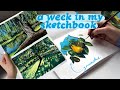 A week in my sketchbook finding my art stylevoice and making more art