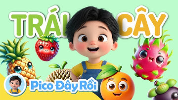Quả Gì Đây 🍊 ? Cùng Pico Đoán Trái Cây Siêu Vui | Giáo Dục Sớm Cho Trẻ