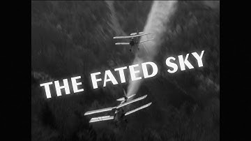 IL-2 Flying Circus - Squadron 84 - "THE FATED SKY"