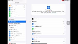 How to Set Up Mouse Buttons on iPadOS