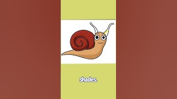 Cute Snail Drawing Tutorial for Kids