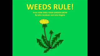 WE'RE THE WEEDS lyrics