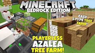 Minecraft Bedrock: полное руководство по AFK TREE FARM! 5. Ферма деревьев типа Азалии. МКПЕ Xbox ПК PS4