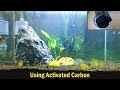 Using Activated Carbon in Aquariums