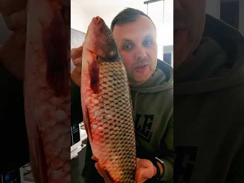 Video: Pastrăvul de mare are solzi?