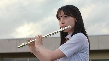 映画『ハルチカ』予告編