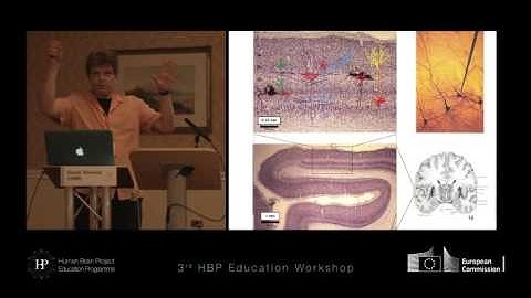 Gaute Einevoll - Future Developments in Theoretical Neuroscience