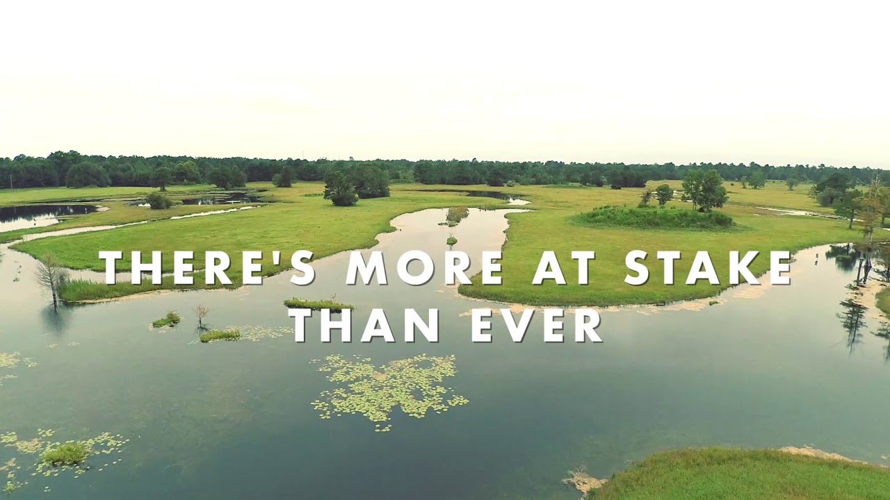 The New Coastal Land Trust   BCDC Ideas video
