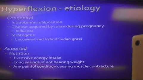Equine Musculoskeletal  Angular limb, Flexural limb deformities 3