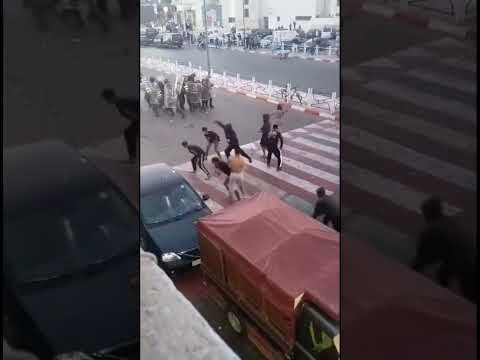جيل  فر وكر بين المتظاهرين والسلطة بعض المنسلين افسدوا كل شيئ للاسف جيل 212