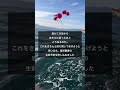 お母さんの為に　別府湾で海洋散骨