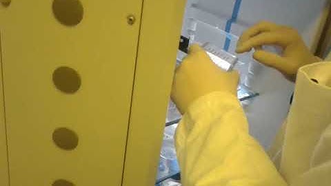 COMET assay removal of cover slides from electrophoresis chamber