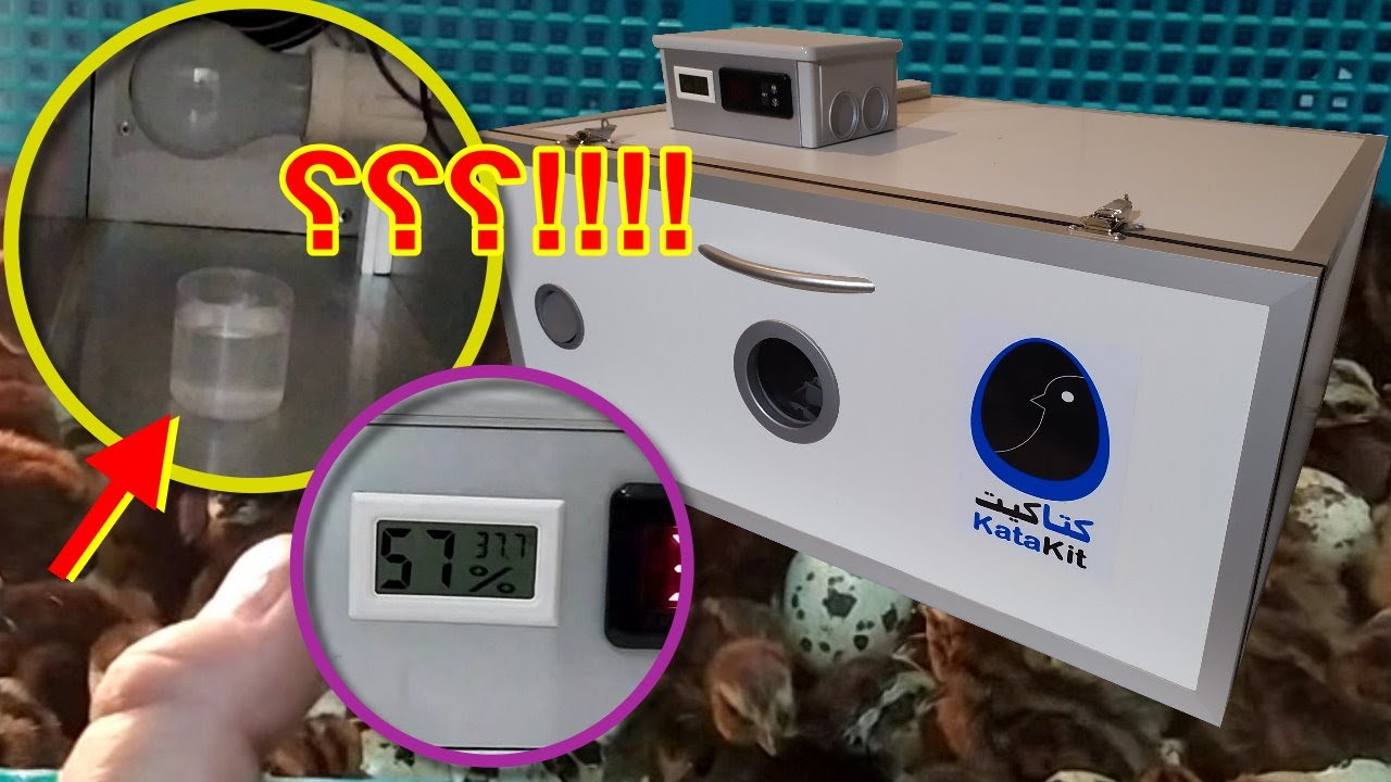 تعرف على الحلة الجديدة لفقاسة 100 بيضة و اكتشف سرا عجيبا عن الرطوبة